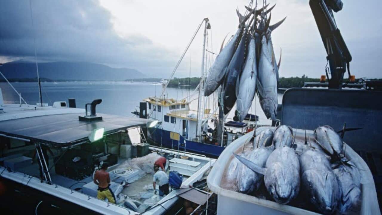 Fishing boat-GettyImages – moodboard.jpg