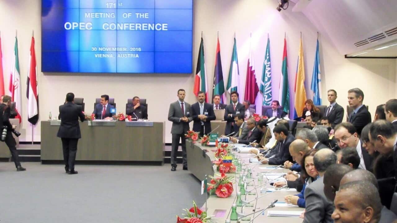 The Organisation of Petroleum Exporting Countries