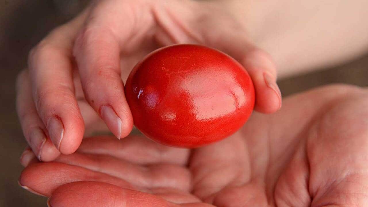 Hands with dyed red Easter egg