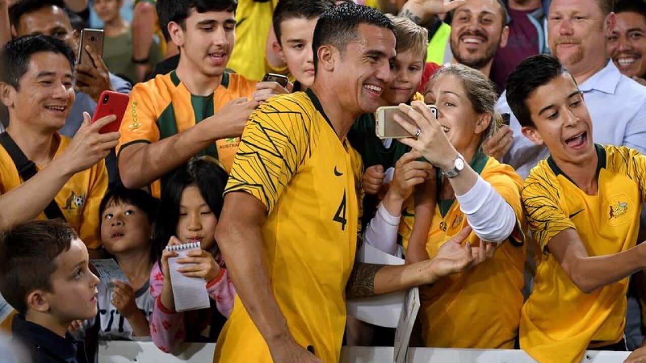 Tim Cahill
