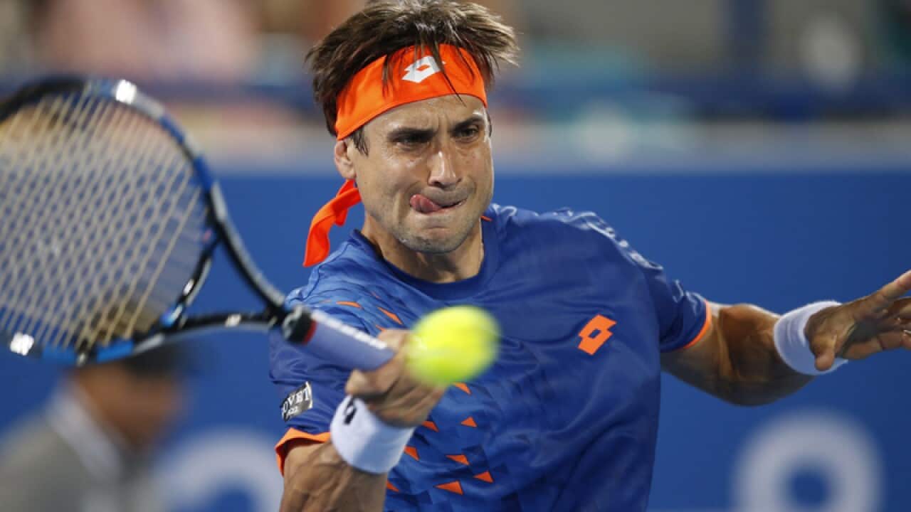 World No.8 David Ferrer