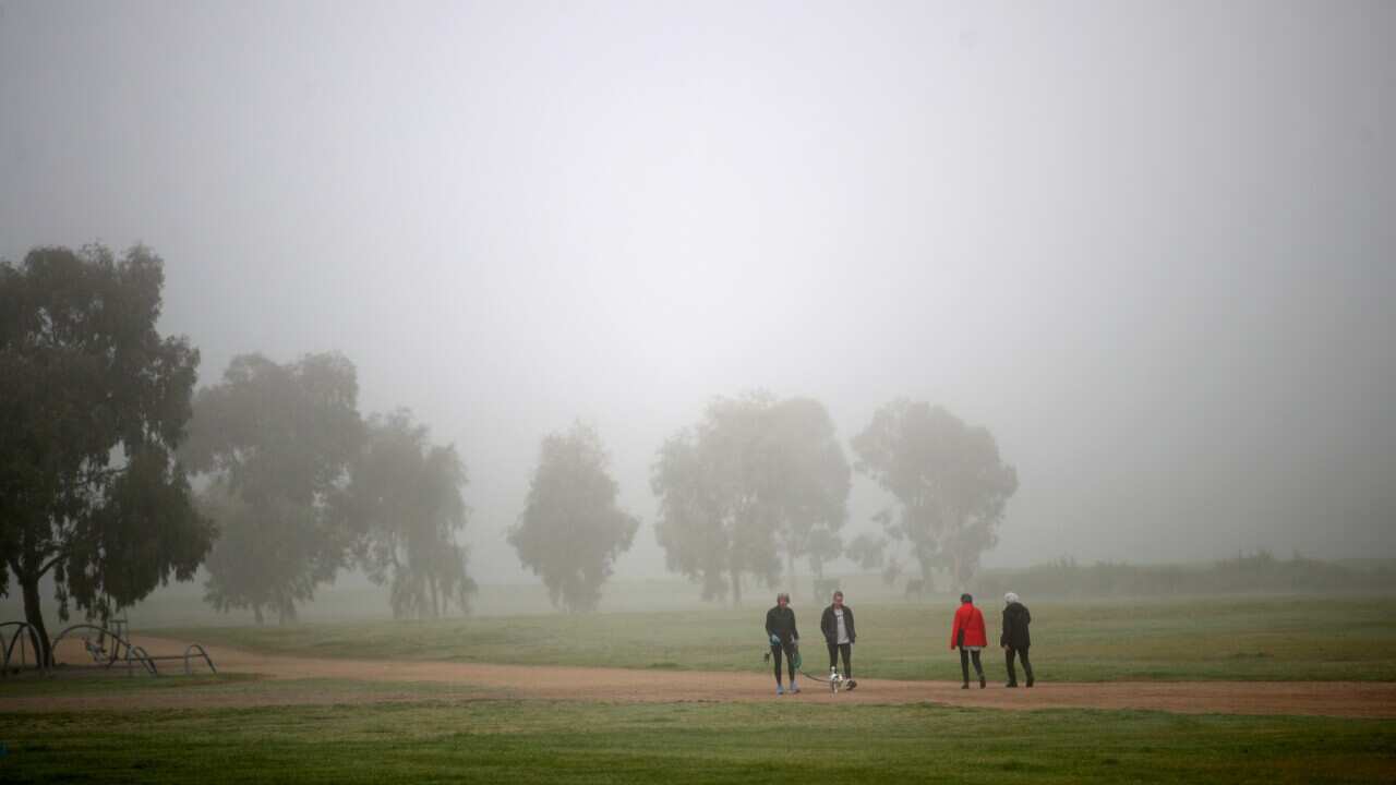 ADELAIDE FOG