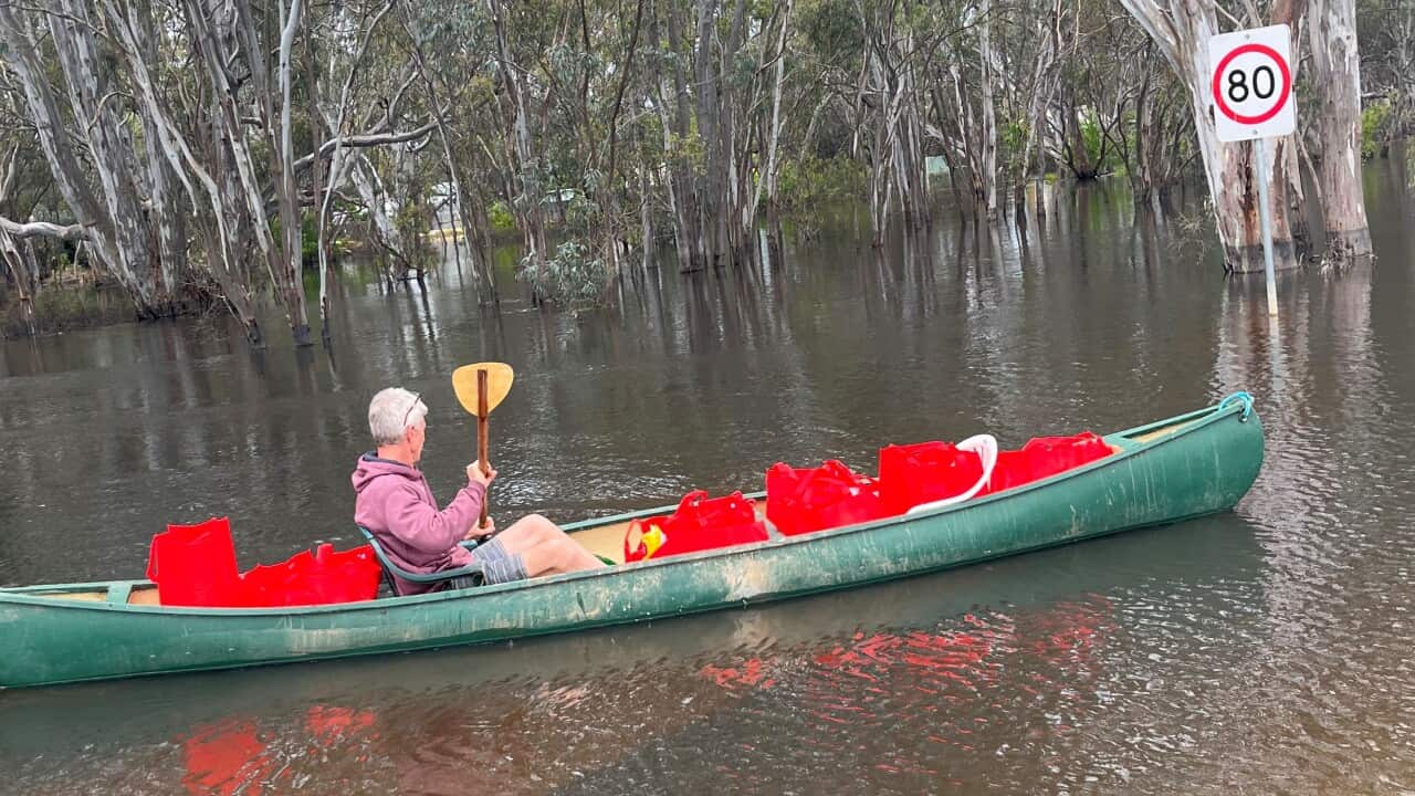 Image for read more article 'READ MORE'