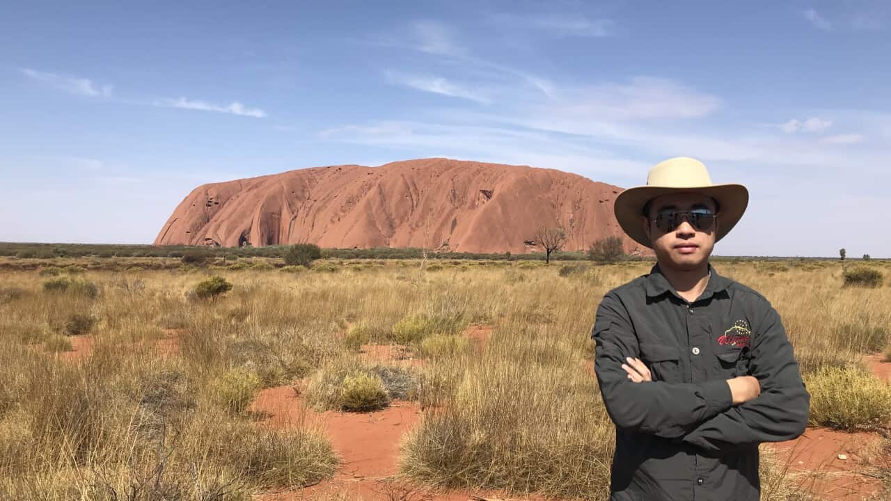 Image for read more article ''