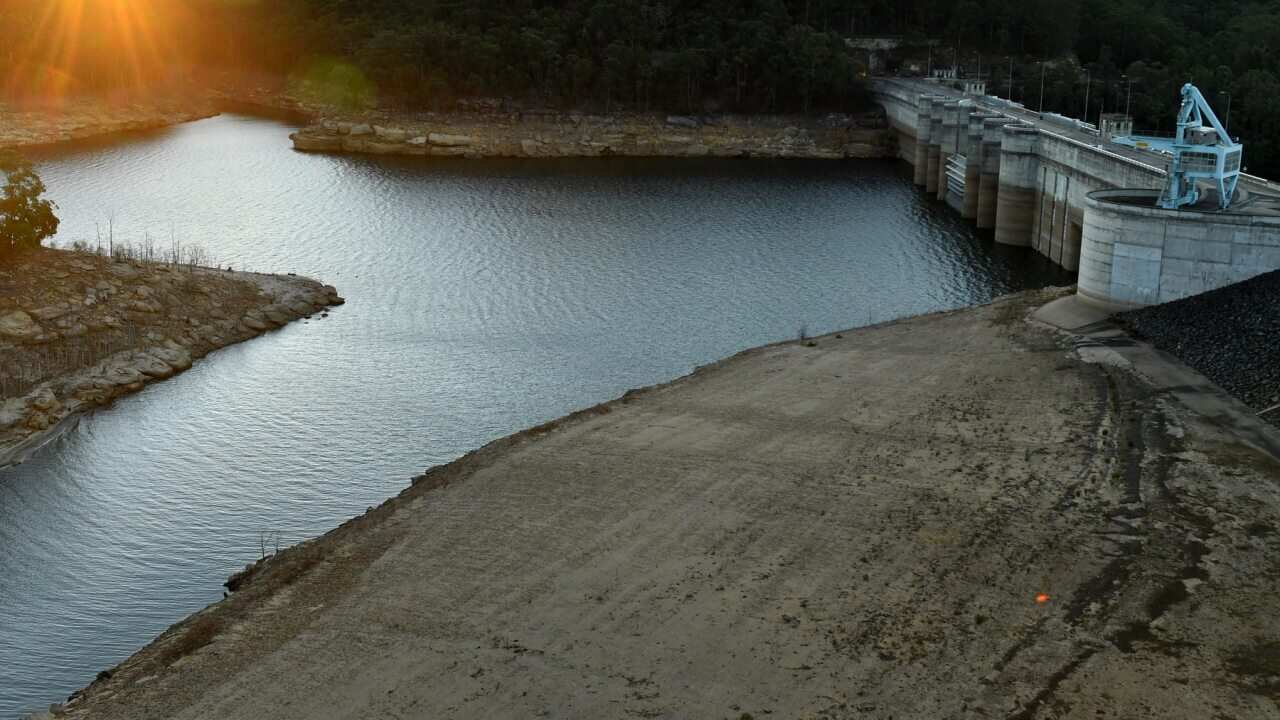 water rosocers in Australia
