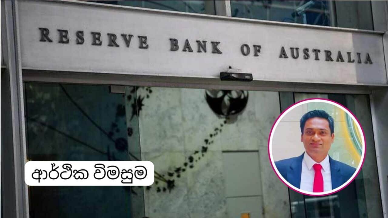 SBS Sinhala economic talk with Dr Vipula Wickramarachchi aap.jpg