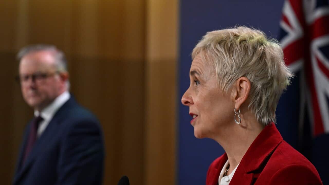 ANTHONY ALBANESE PRESSER