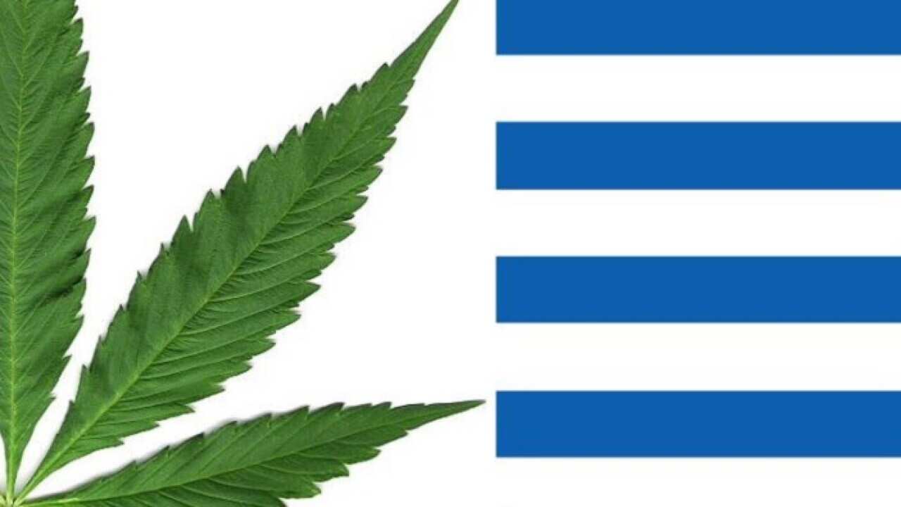 Greek government could approve medical cannabis use soon