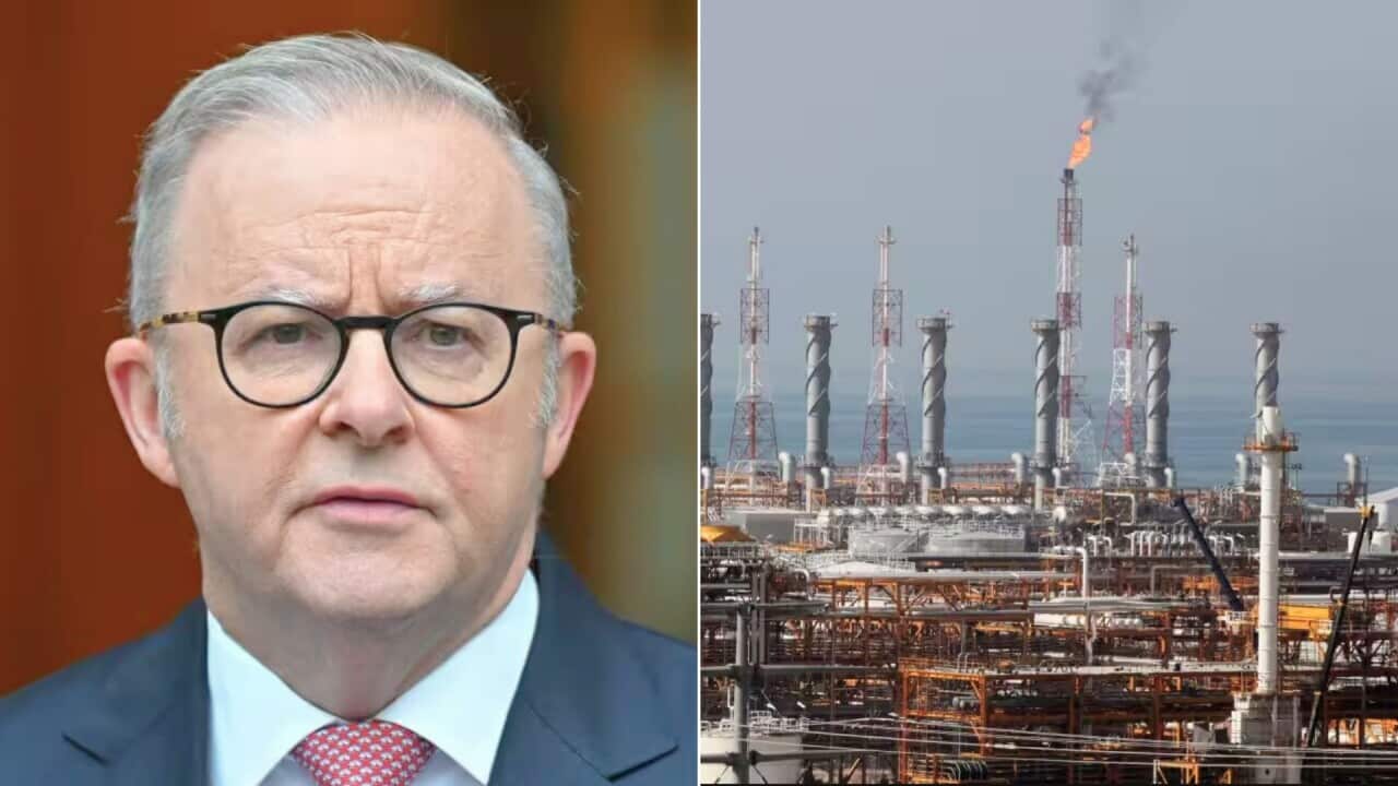 New Coordinator Appointed to Monitor Oil Supply; PM Warns Companies.jpg