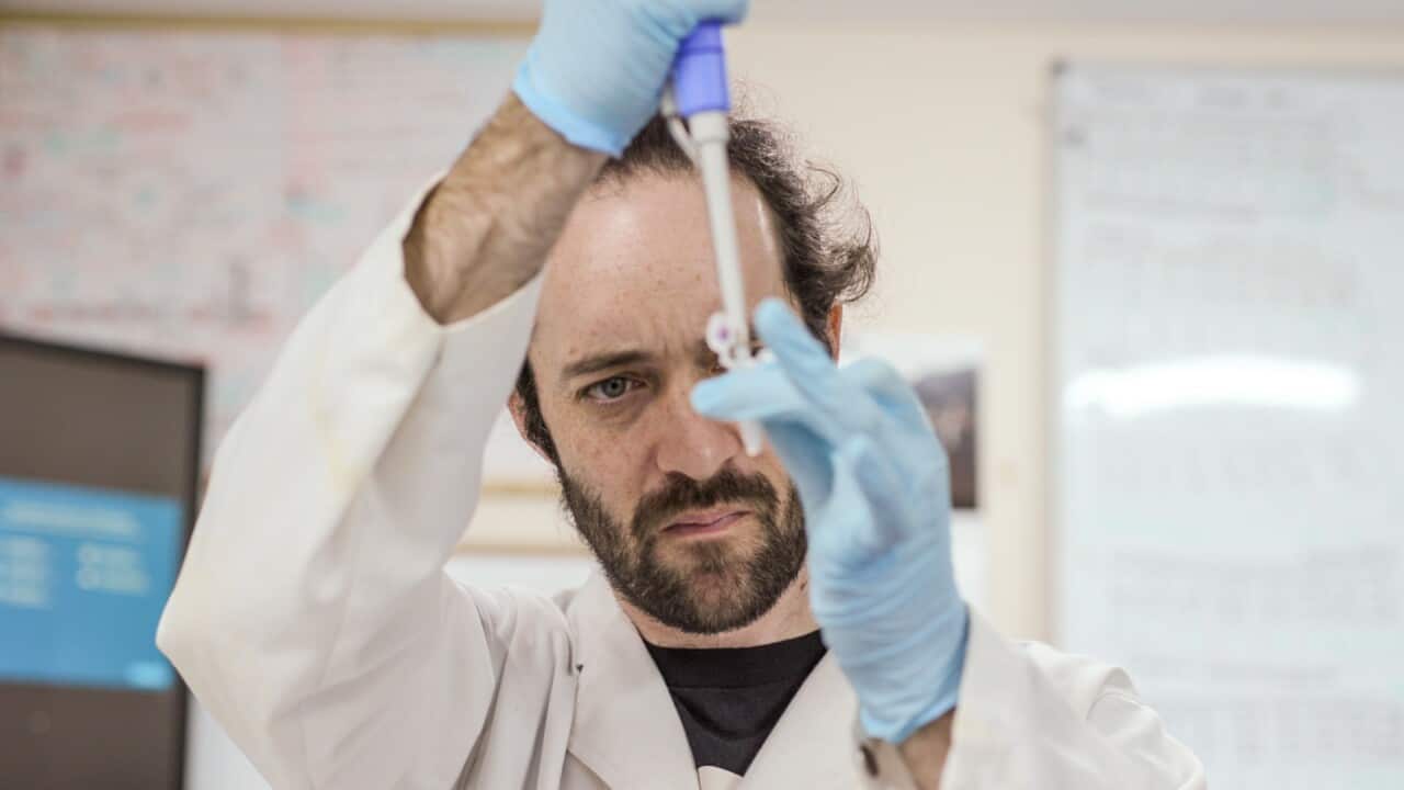 Meow Ludo Meow Meow is an Australian biohacker working on coronavirus solutions.