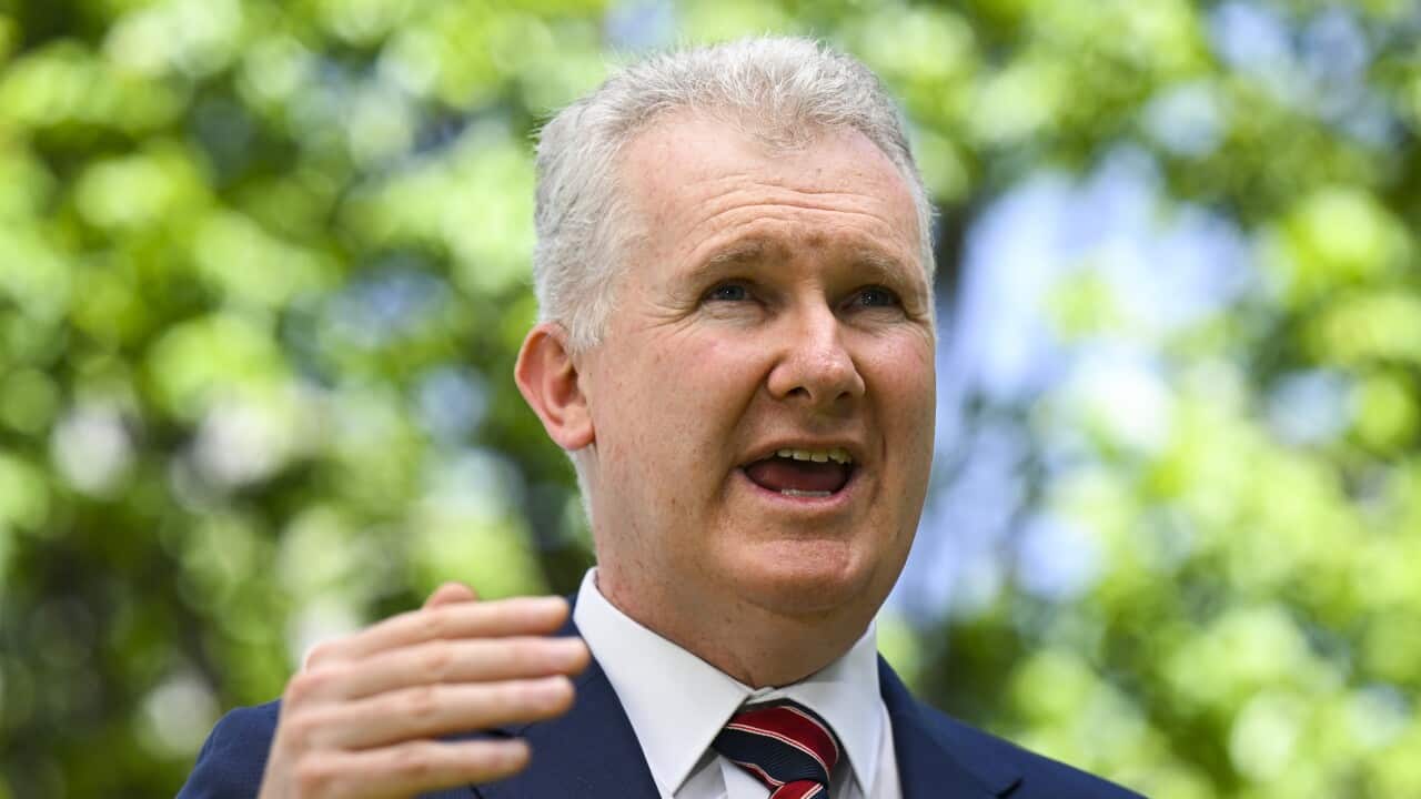 Australian Workplace Relations Minister Tony Burke after the passing of the Fair Work Legislation Amendment Bill