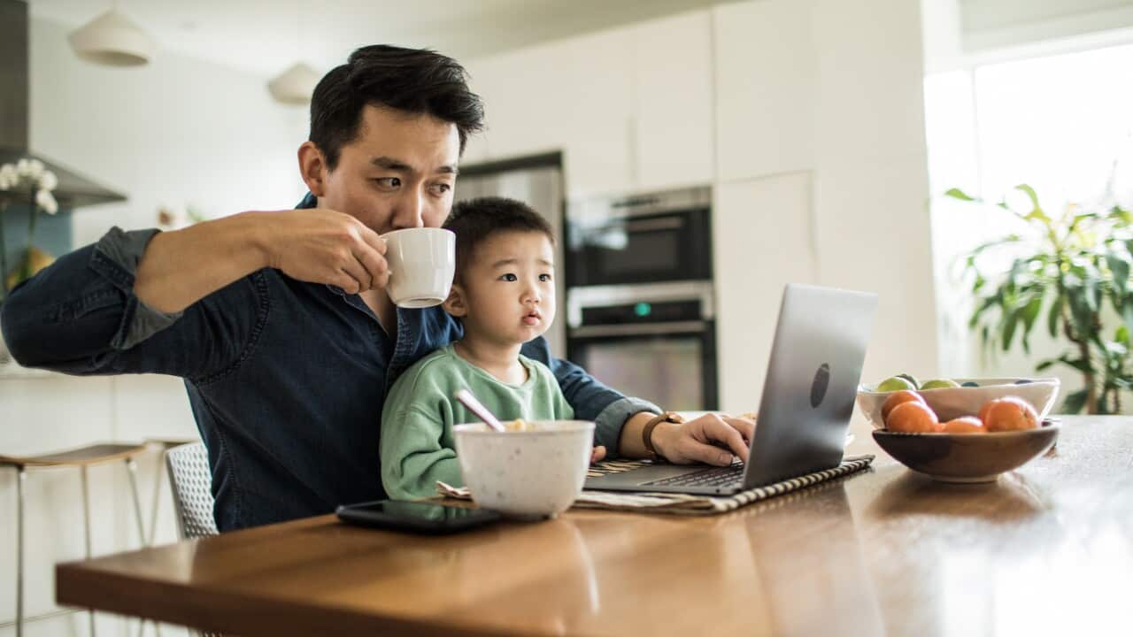 Father and son having breakfast while workin