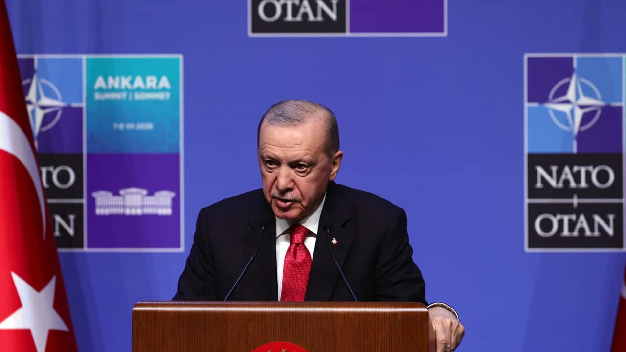 World leaders meet in Ankara for the NATO Summit