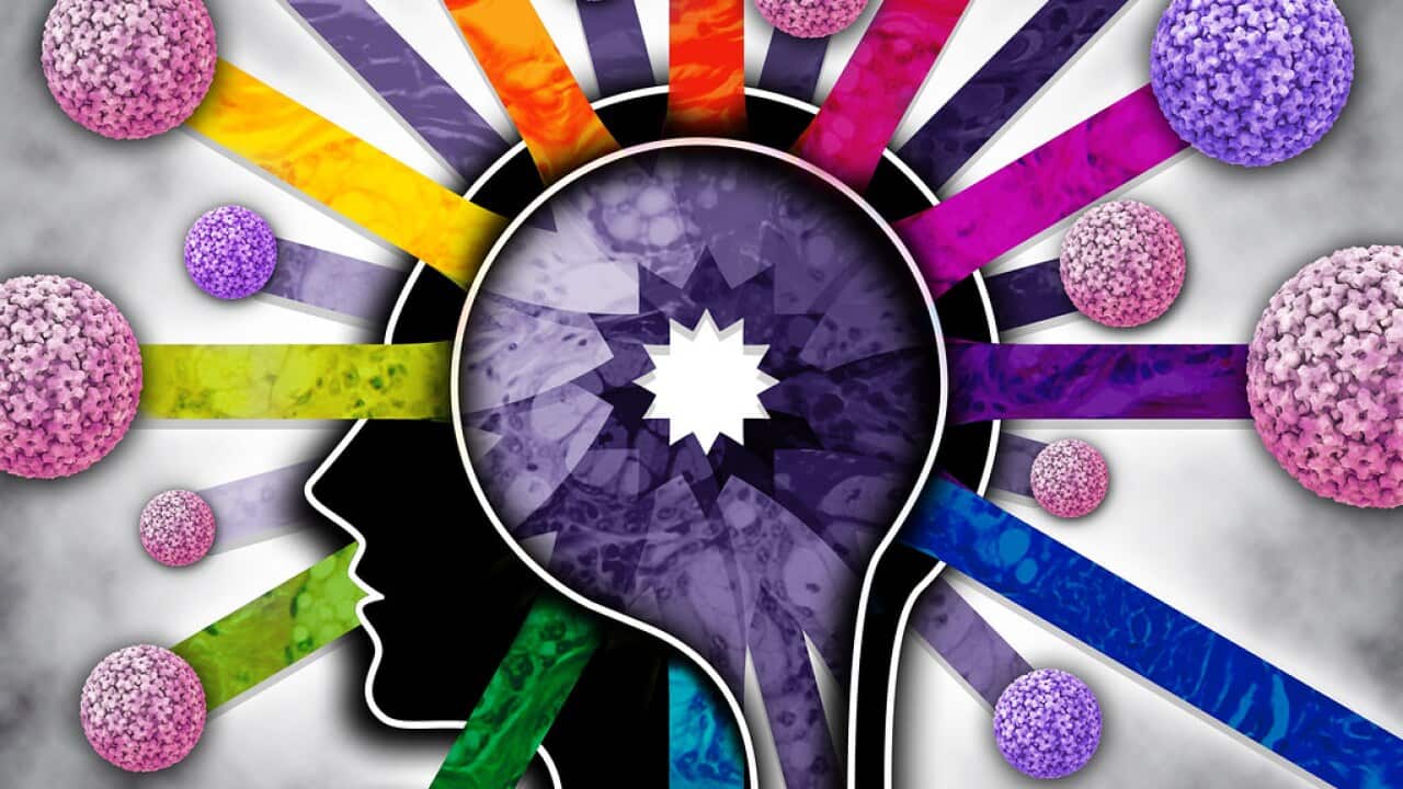 Human Papillomavirus (HPV) in Oral Cancer.