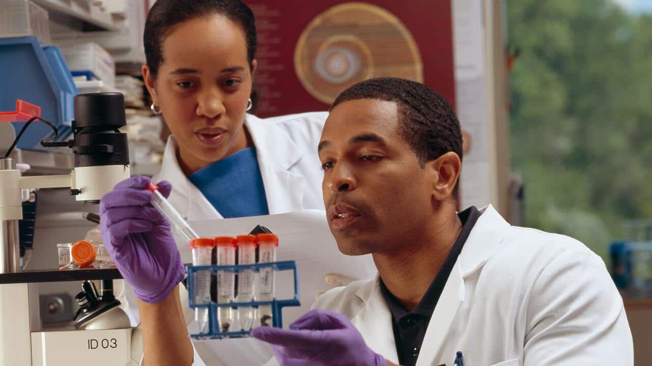 Researcher Checks Test Tubes. An African American male researcher checks test tubes as an AfricanAmerican female cancer researcher looks on.
