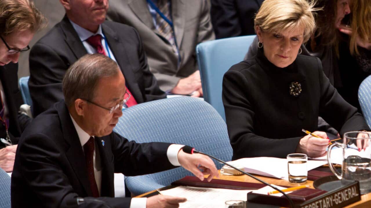 security_council_aap.jpg