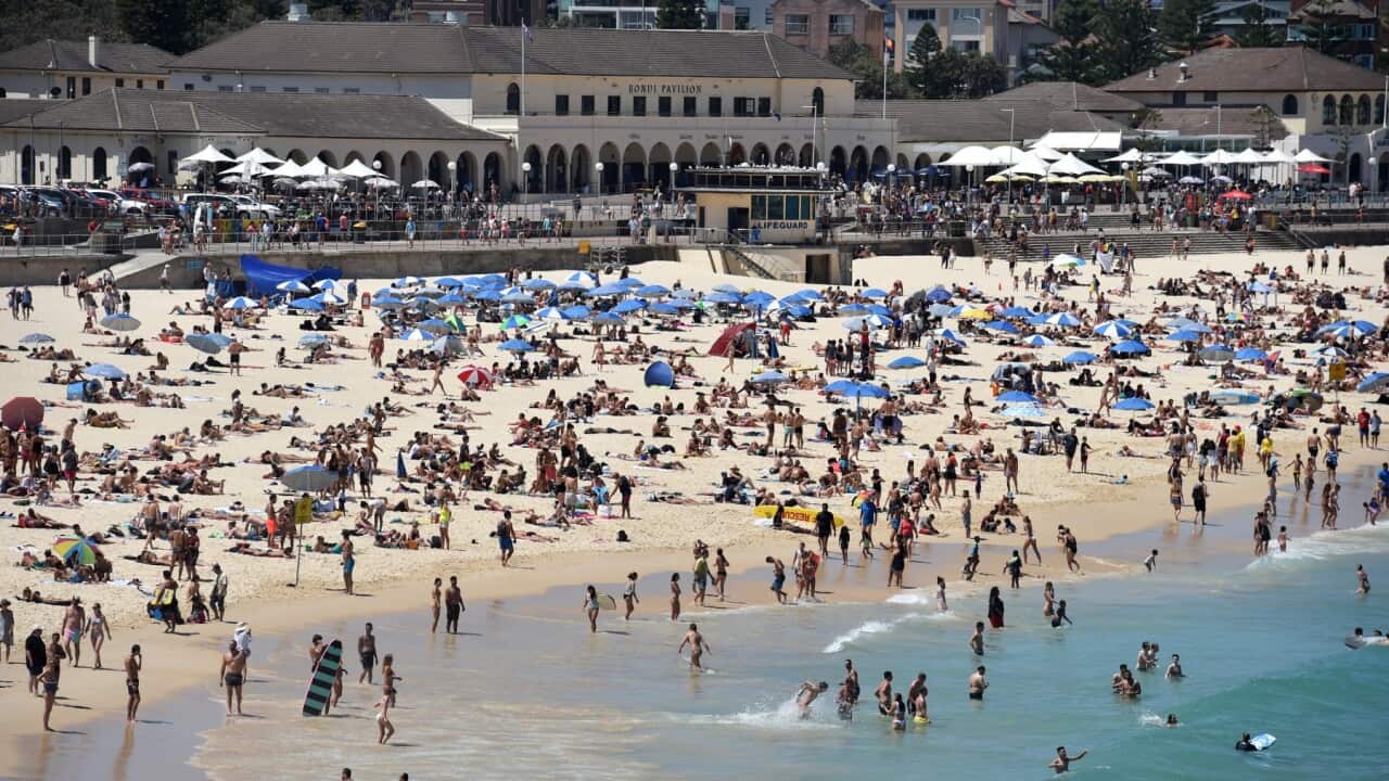 Image for read more article 'READ MORE'