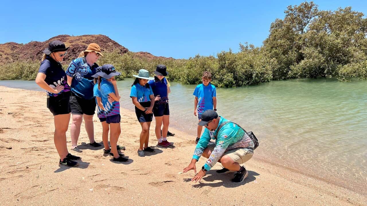 Students in Western Australia taking part in the CSIRO's Living Stem program (Credit Stella Gray-Broun ).jpg