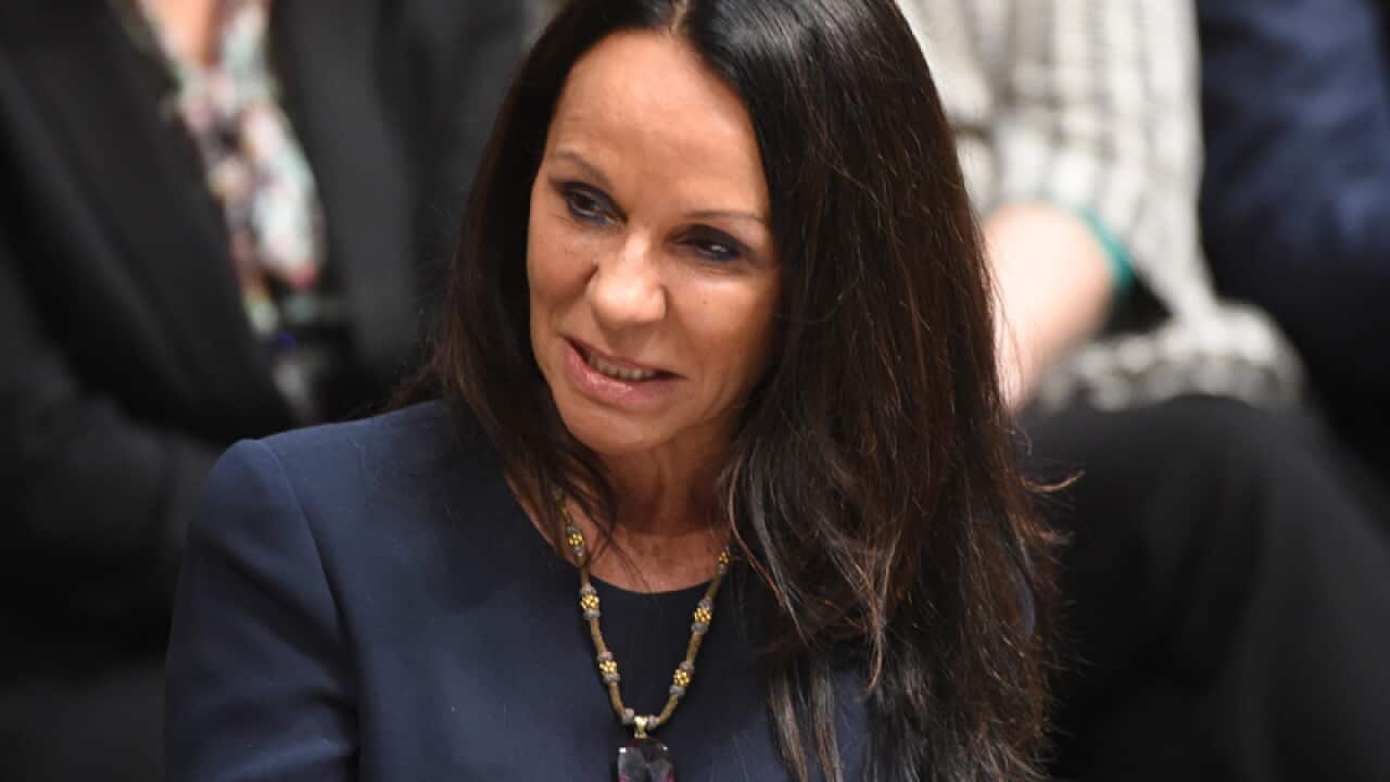 Shadow Minister for Human Services Linda Burney