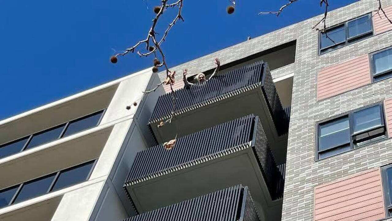 Sandy Rogulic balcony St Kilda isolation
