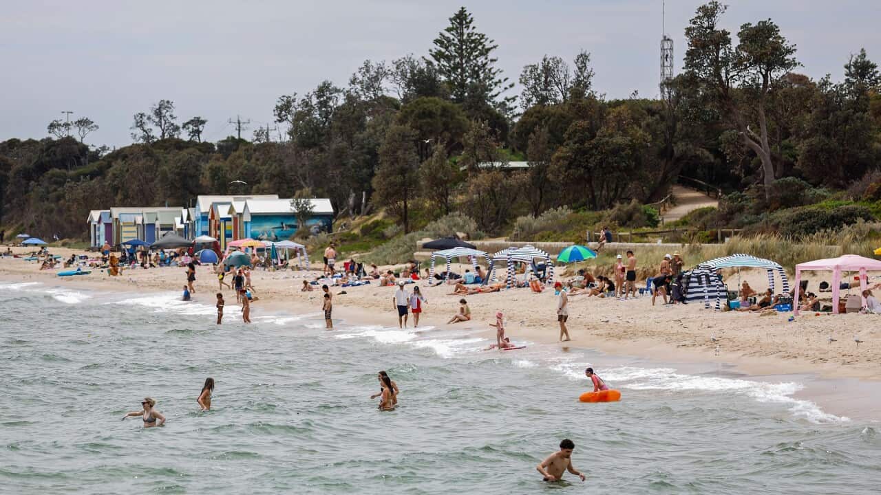 People flock Dromana Beach in Melbourne, Australia - 23 Nov 2024