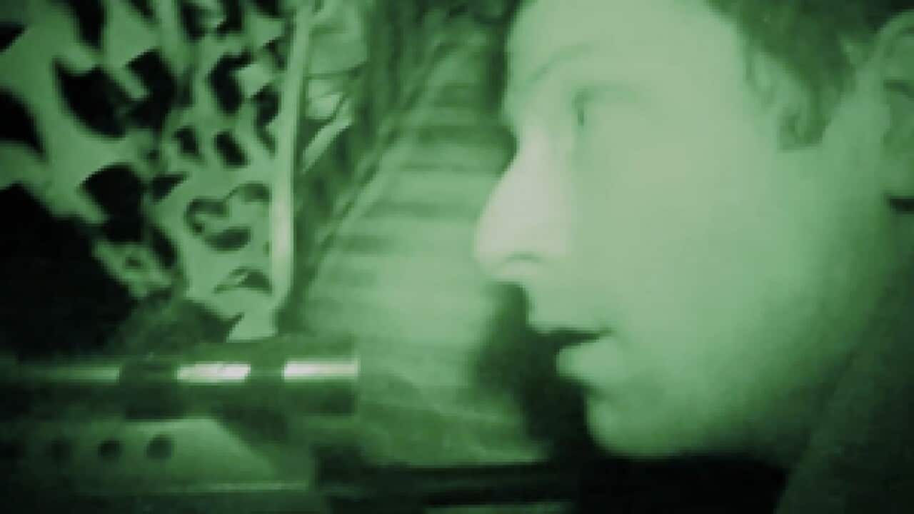 The-Jungle_301_1882285886