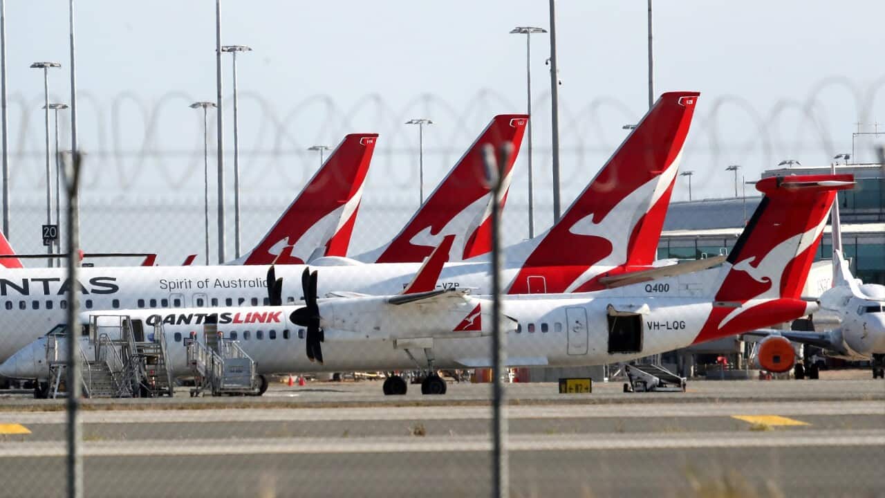 A lineup of Qantas planes at Brisbane domestic airport