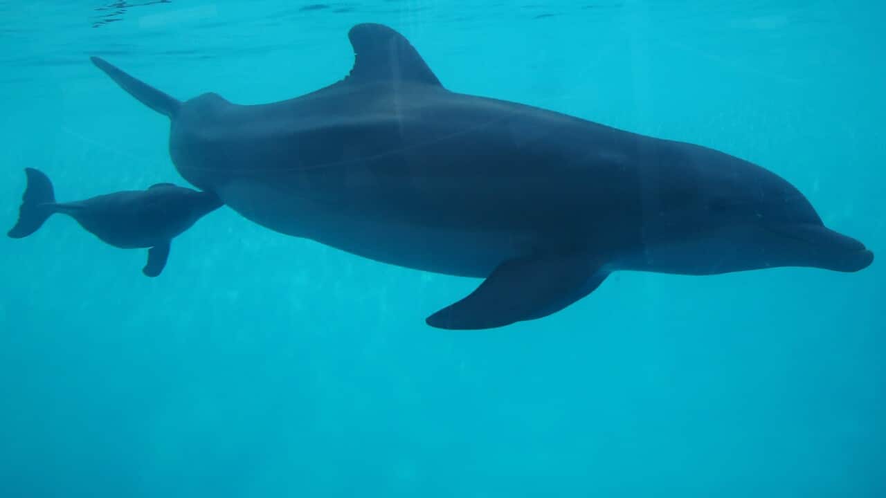 Image for read more article 'READ MORE'