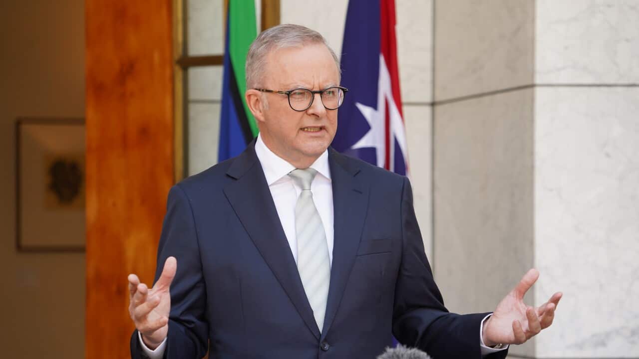ANTHONY ALBANESE PRESSER
