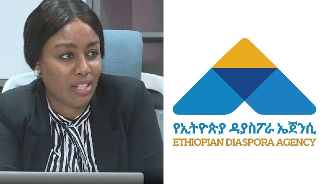 Interview with Selamawit Dawit