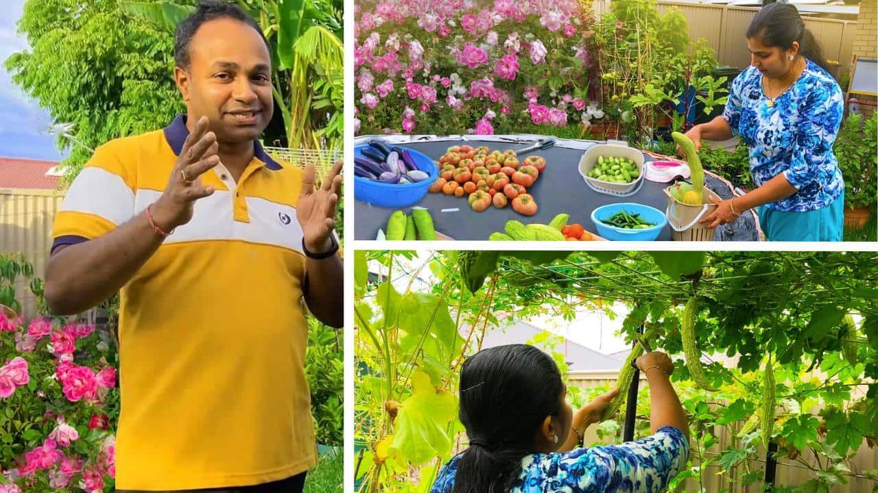 shared image (1).jpeg