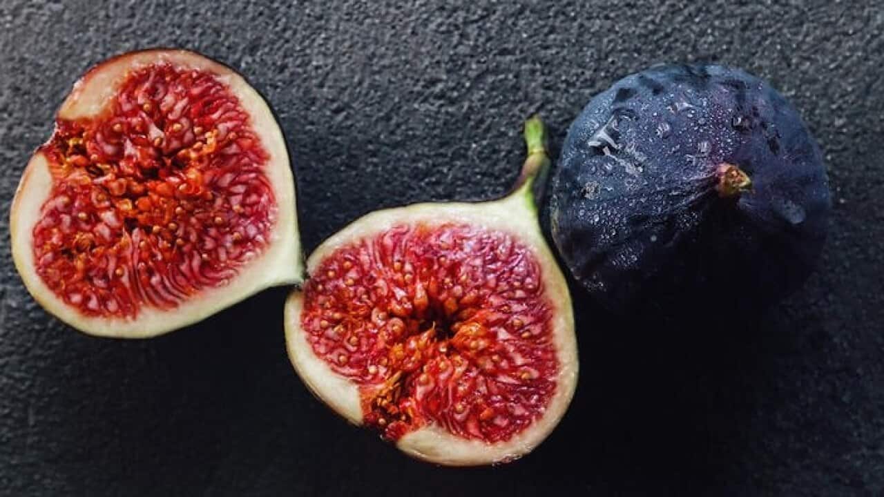 Thank you, fig wasp! (Aliona Gumeniuk | Unsplash)