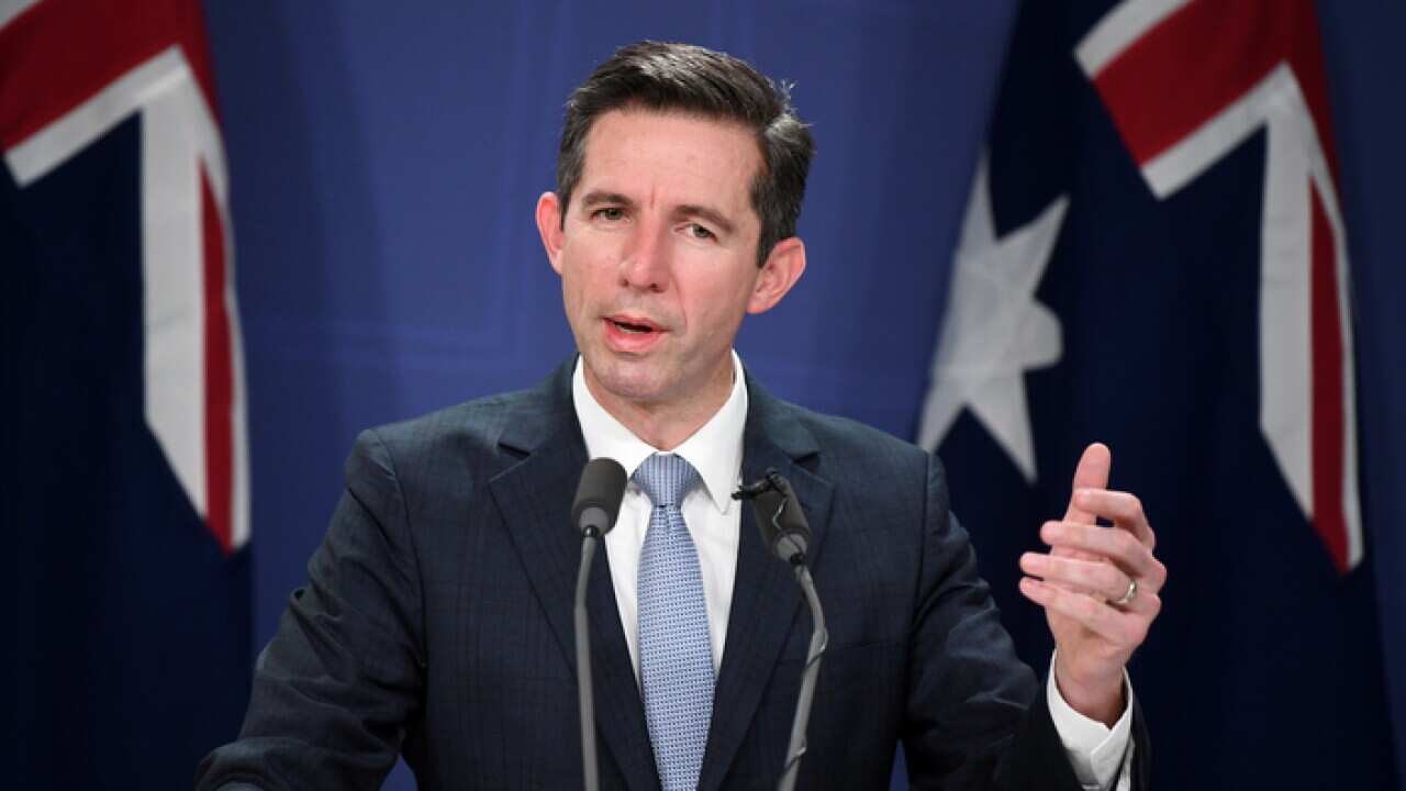 Acting Treasurer Simon Birmingham speaks to the media during a press conference in Sydney, Monday, June 24, 2019. (AAP Image/Joel Carrett) NO ARCHIVING