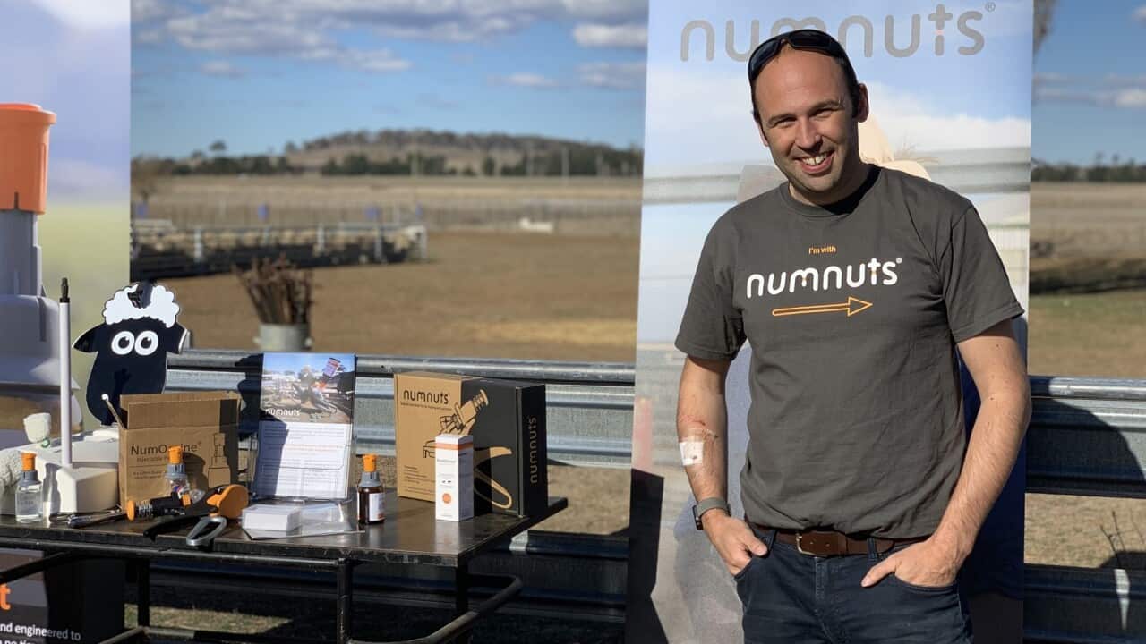 Image for read more article 'Nghe đọc thêm:'