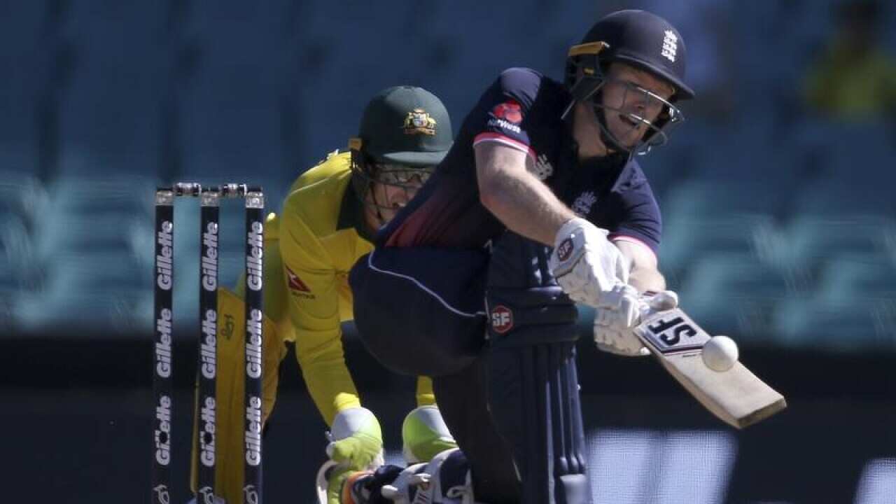 cricket