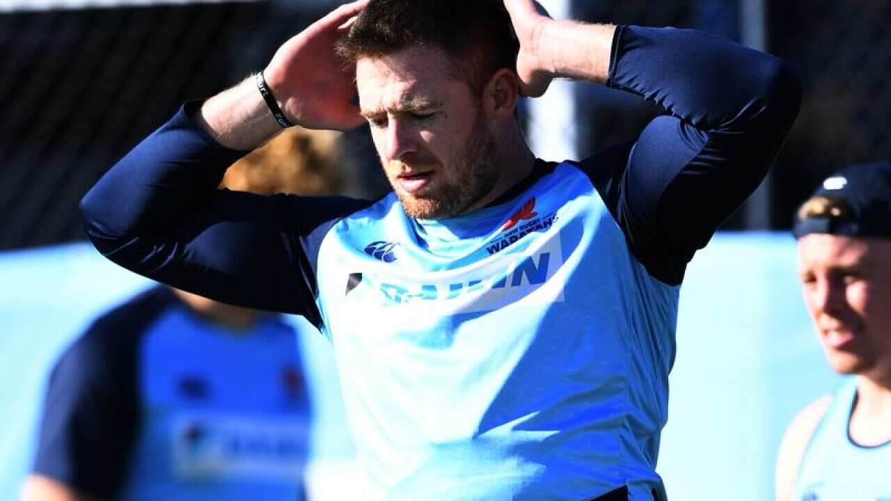 NSW Waratahs lock Jed Holloway
