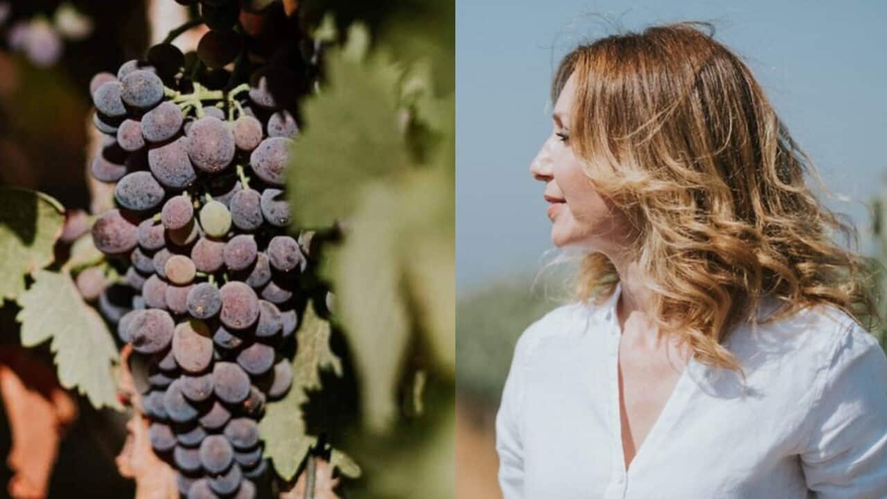 Image for read more article 'Also read'