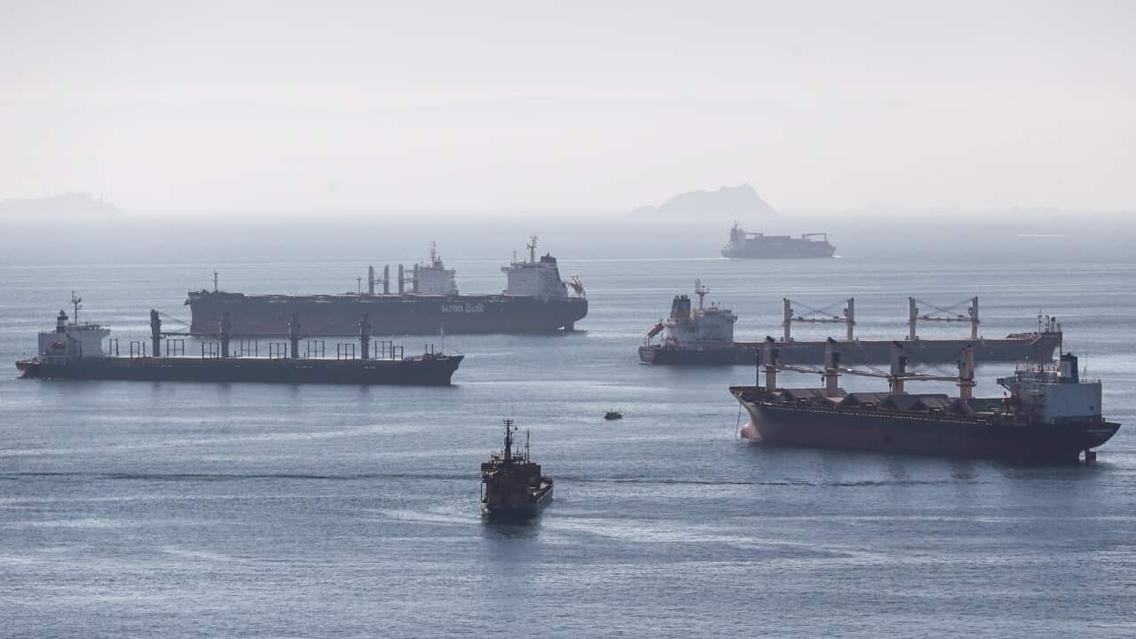 Cargo ships carrying Ukraine grain anchored at the Marmara sea in Istanbul, Turkey on 22 October 2022.