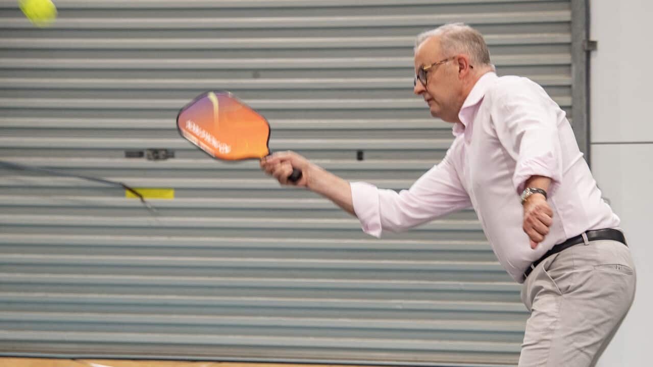 ANTHONY ALBANESE CAIRNS VISIT