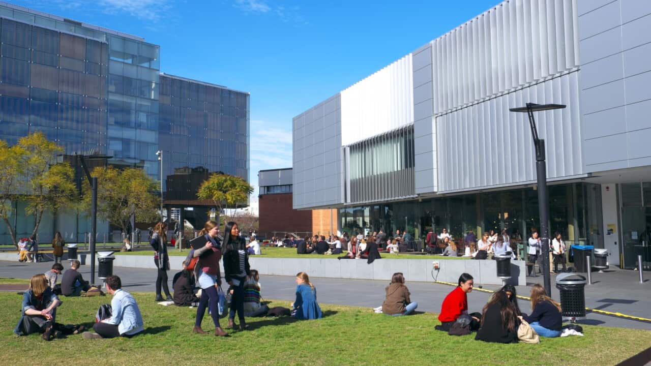 University of Sydney campus in Sydney.