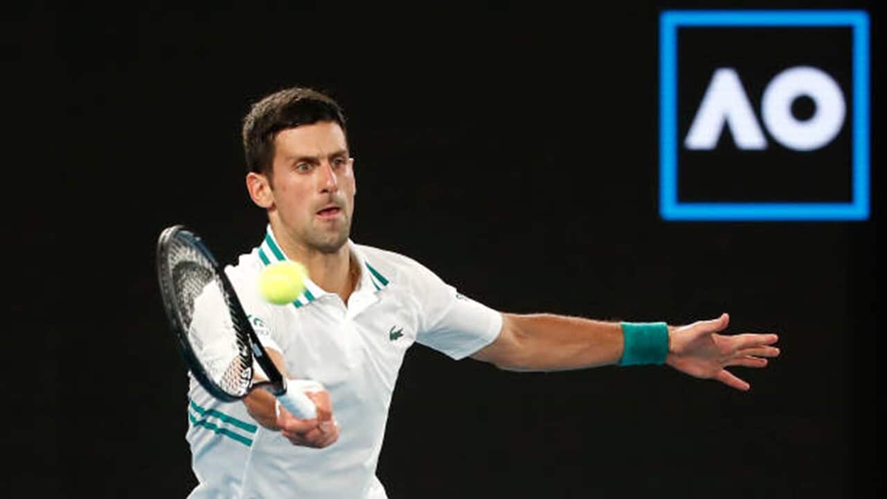 Novak Djokovic of Serbia.jpg