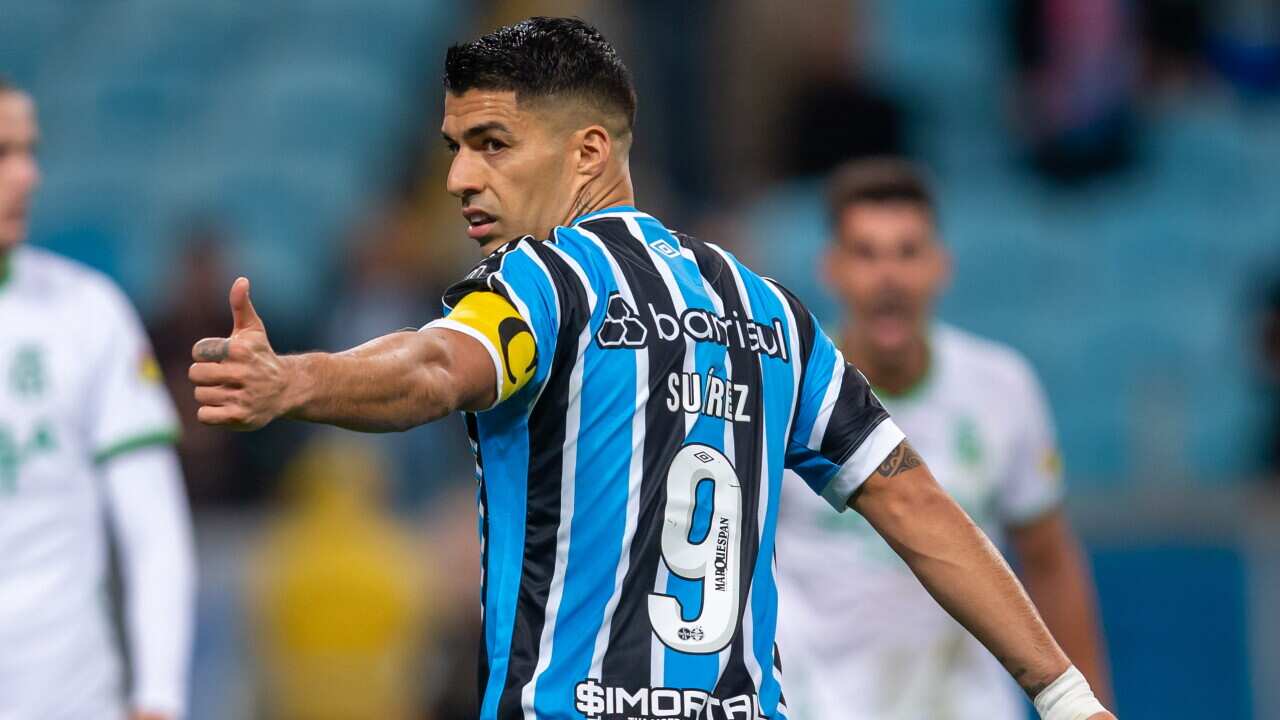 Brazilian Championship 2023 - Gremio vs America Mineiro