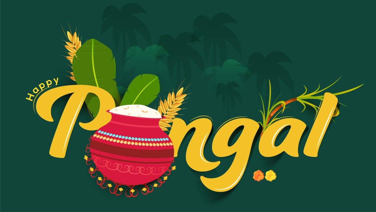 Yellow Happy Pongal Font With Tradition Dish Mud Pot, Wheat Ear, Banana Leaves And Sugarcane On Green Palm Trees Background.
