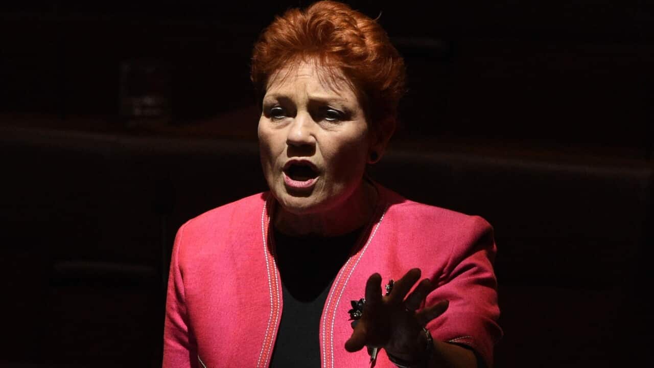 file image of One Nation leader Senator Pauline Hanson