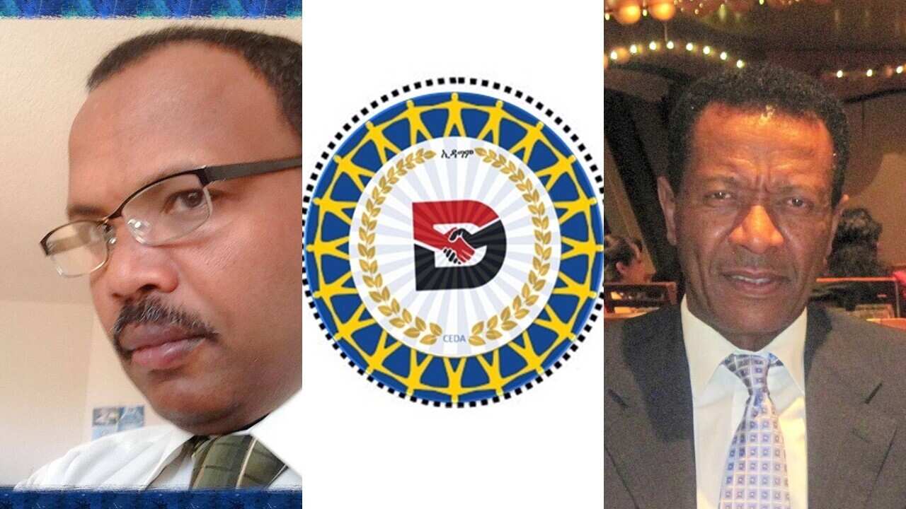 Council For Ethiopian Diaspora Action