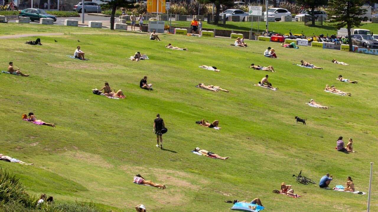 Image for read more article 'READ MORE'