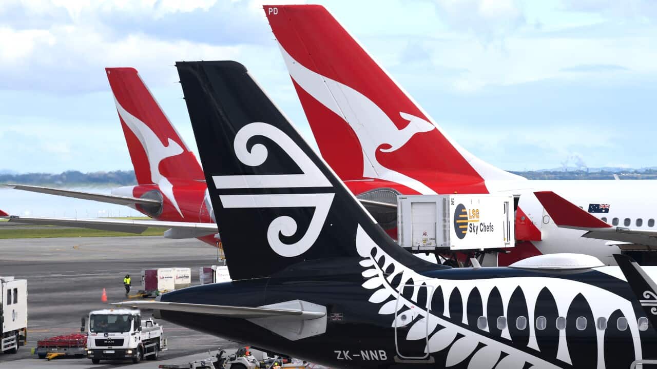 The tails of two Qantas planes and an Air New Zealand jet at an airport.