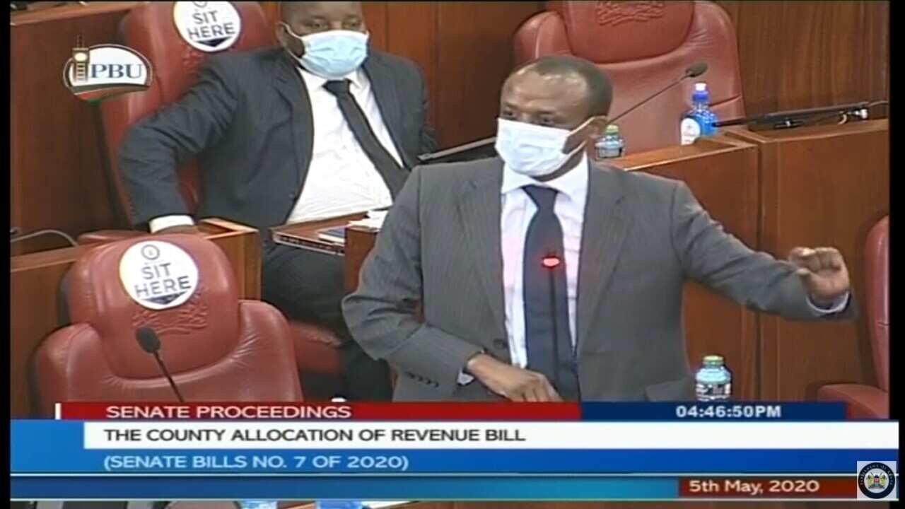 Seneta Mutula Kilonzo Jr, akiwasha bungeni