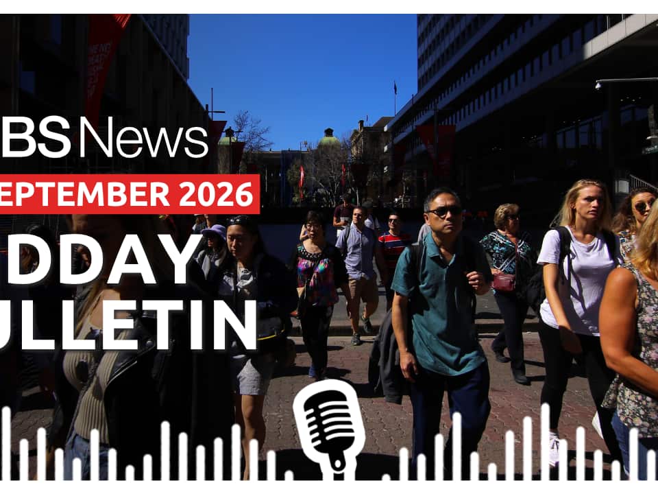 MIDDAY BULLETIN (3).png