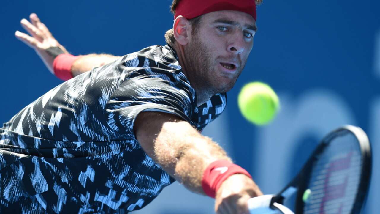 Juan Martin del Potro of Argentina